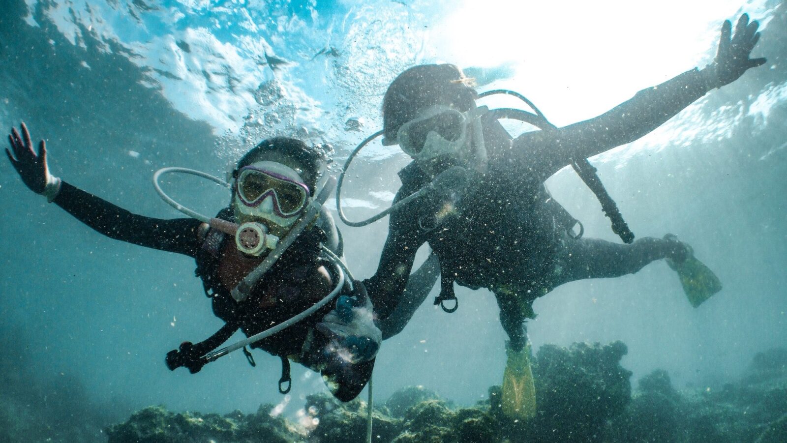 Underwater shot of two people diving