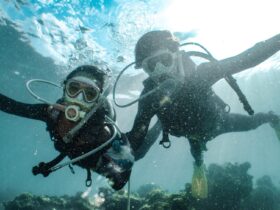 Underwater shot of two people diving