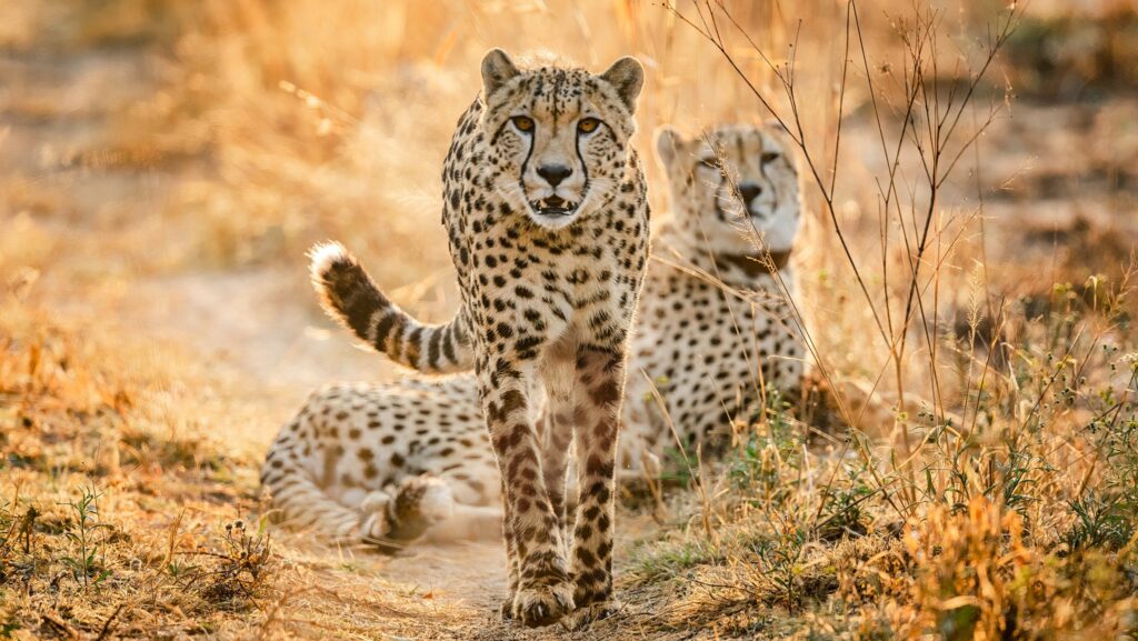 Babanango Game Reserve in South Africa