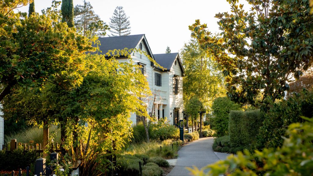 Hotel nestled among trees