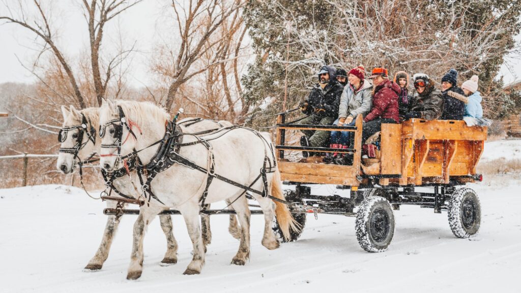 Guests taking a carriage ride in the snow at Sage Lodge