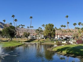 view of the golf course and fountain at Omni Rancho Las Palmas in Rancho Mirage