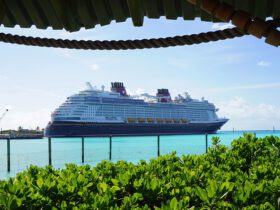 Cruise ship docked in ocean on sunny day