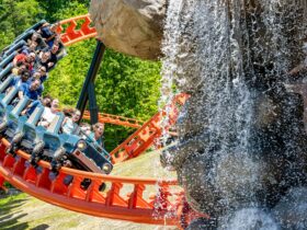 Riders on Big Bear Mountain rollercoaster at Dollywood