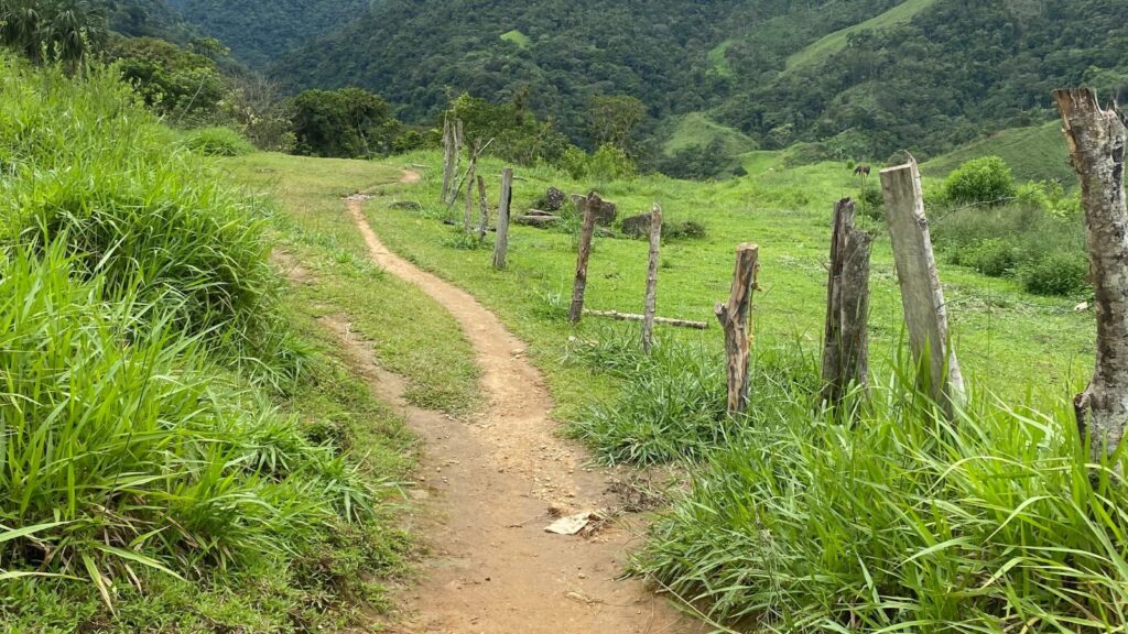 view of the trail to Ciudad Perdida in Colombia