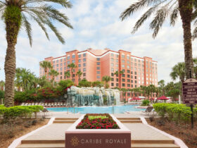 Pool with waterfall feature framed by two palm trees, and pink hotel towers in background