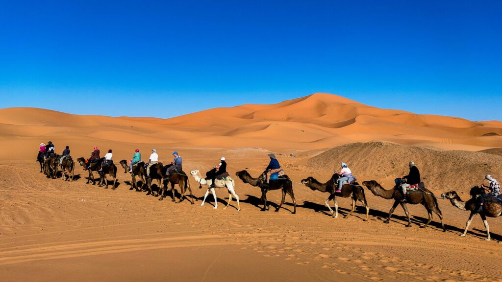 Group trip to Morocco with Exodus Adventure Travels