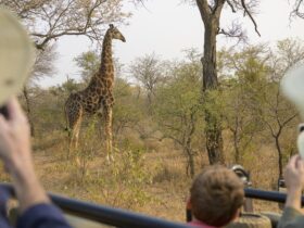 Family on a National Geographic Expedition safari group tour