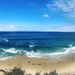 Crystal Cove State Park waves