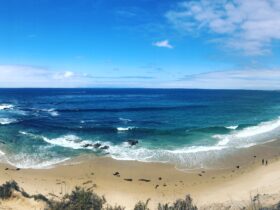 Crystal Cove State Park waves