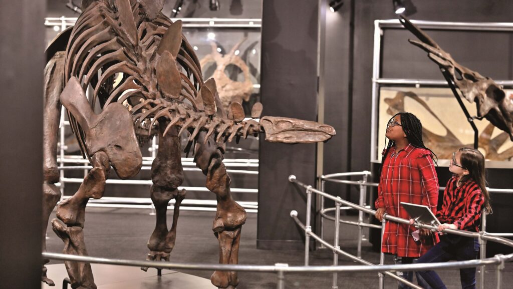 Two girls looking at dinosaur fossils at COSI in Columbus, Ohio