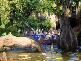 People waving from a water ride