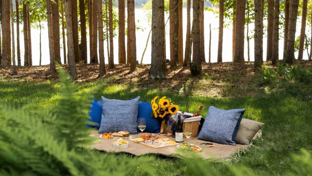 Picnic in a forest set up by The Chatwal Lodge