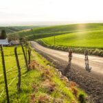 Two people riding bikes through vineyards on a sunny day in Walla Walla