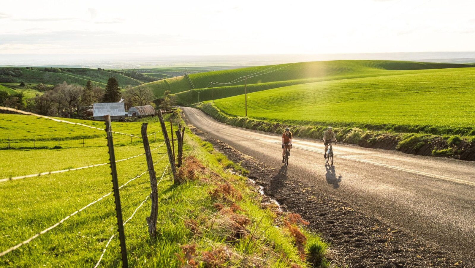 Two people riding bikes through vineyards on a sunny day in Walla Walla
