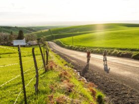 Two people riding bikes through vineyards on a sunny day in Walla Walla