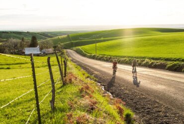 Two people riding bikes through vineyards on a sunny day in Walla Walla