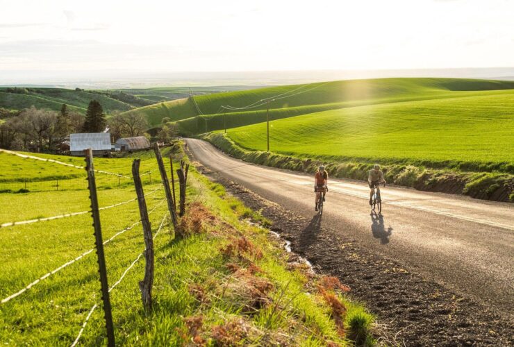 Two people riding bikes through vineyards on a sunny day in Walla Walla