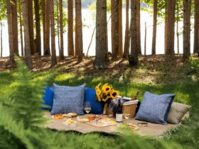 forest picnic set up by The Chatwal Lodge