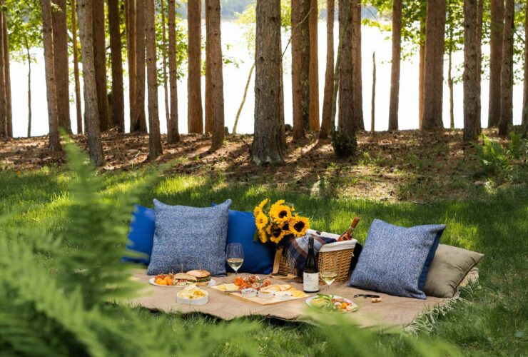 forest picnic set up by The Chatwal Lodge