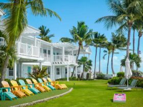 Colorful Adirondack chairs sit on a green lawn with palm trees by the water at Southernmost Beach Resort