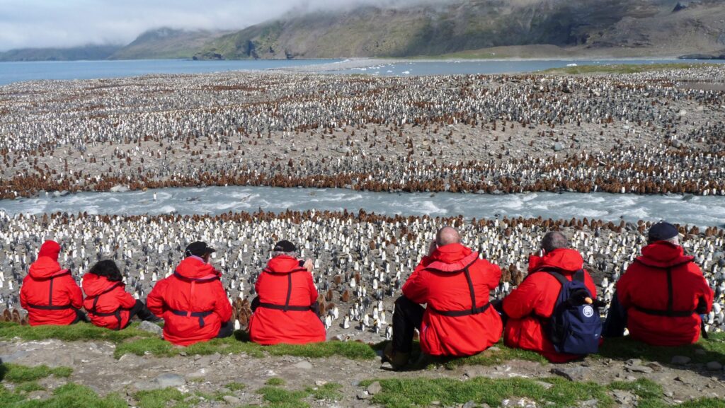 People watching penguins 