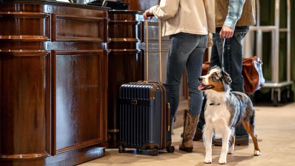 Two guests and a dog checking in at The Riding Academy Hotel