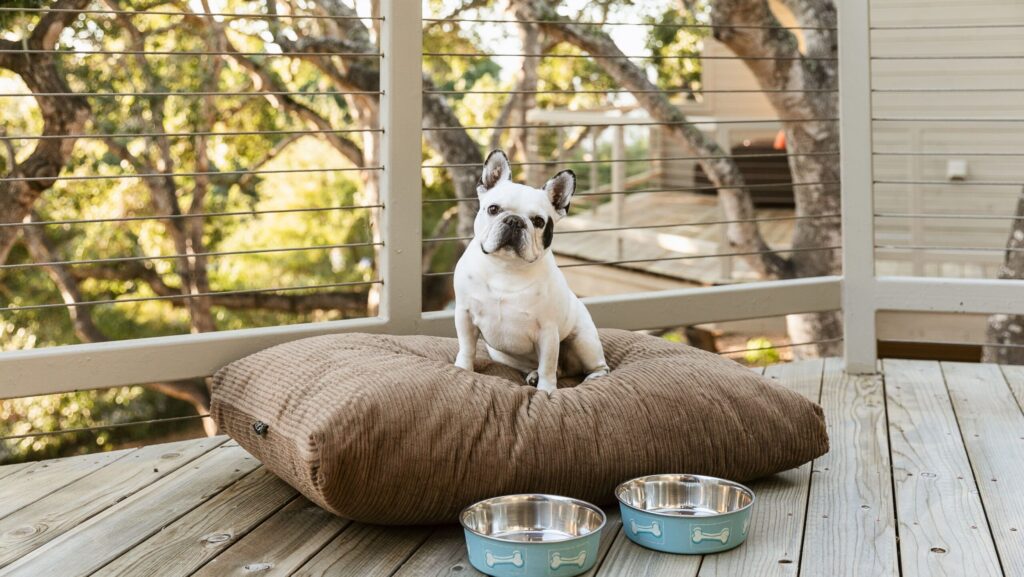 A black and white dog on a dog bed near two bowls on a balcony at Carmel Valley Ranch