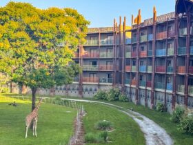 Disney's Animal Kingdom Lodge savanna view rooms