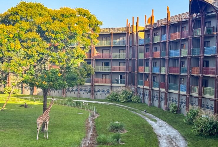 Disney's Animal Kingdom Lodge savanna view rooms