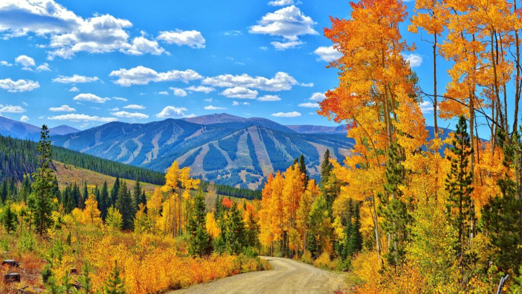 A road lined by trees with fall leaves with a mountain in the distance in Grand County, Colorado