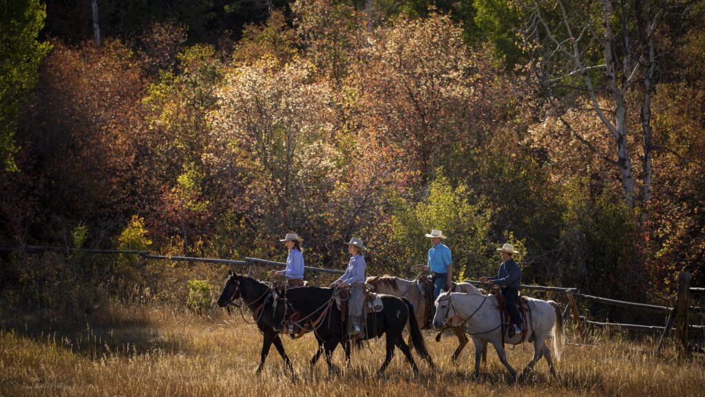 Four people riding horses during the fall at Blue Sky Lodge