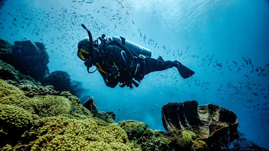 A person scuba diving near coral at Beaches Resorts
