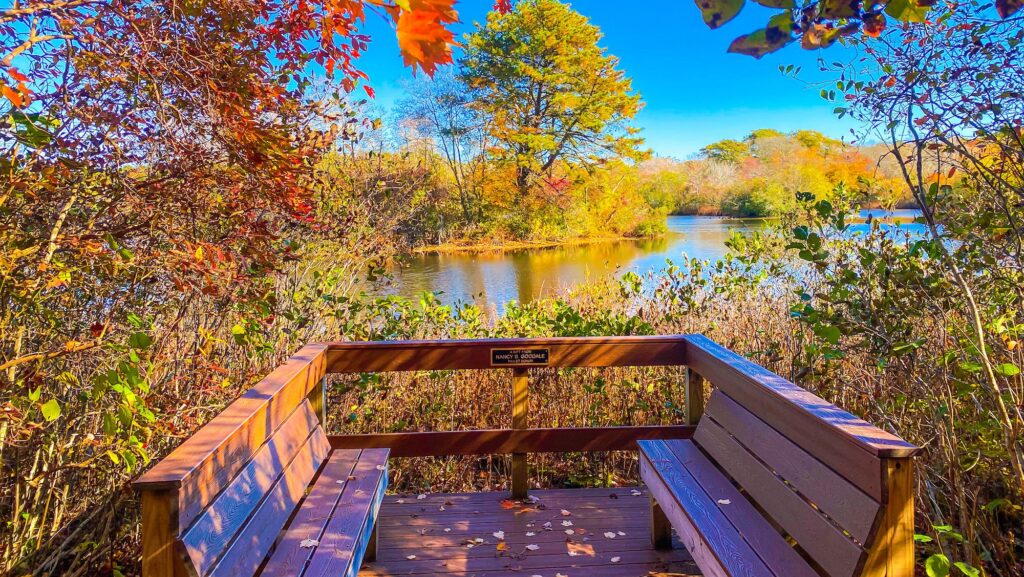 seating area at Quogue Wildlife Refuge