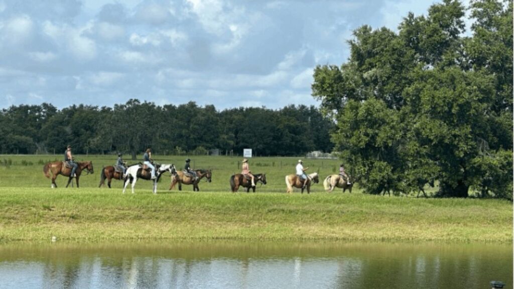 Line of trail riders at Westgate River Ranch riding horses through a meadow on the edge of the water