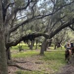 Guests riding horses on a trail through the woods near Westgate River Ranch