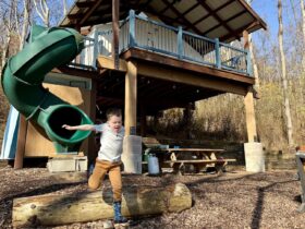 Child jumping over a log with a glamping treehouse accommodation at Airydale retreat in the background
