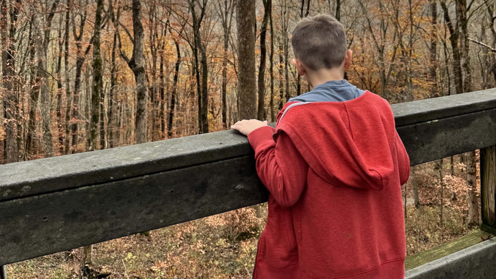 Mammoth Cave National Park hiking (Photo: Tarah Chieffi)