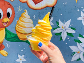 Dole Whip soft serve at Magic Kingdom