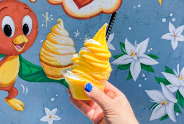 Dole Whip soft serve at Magic Kingdom