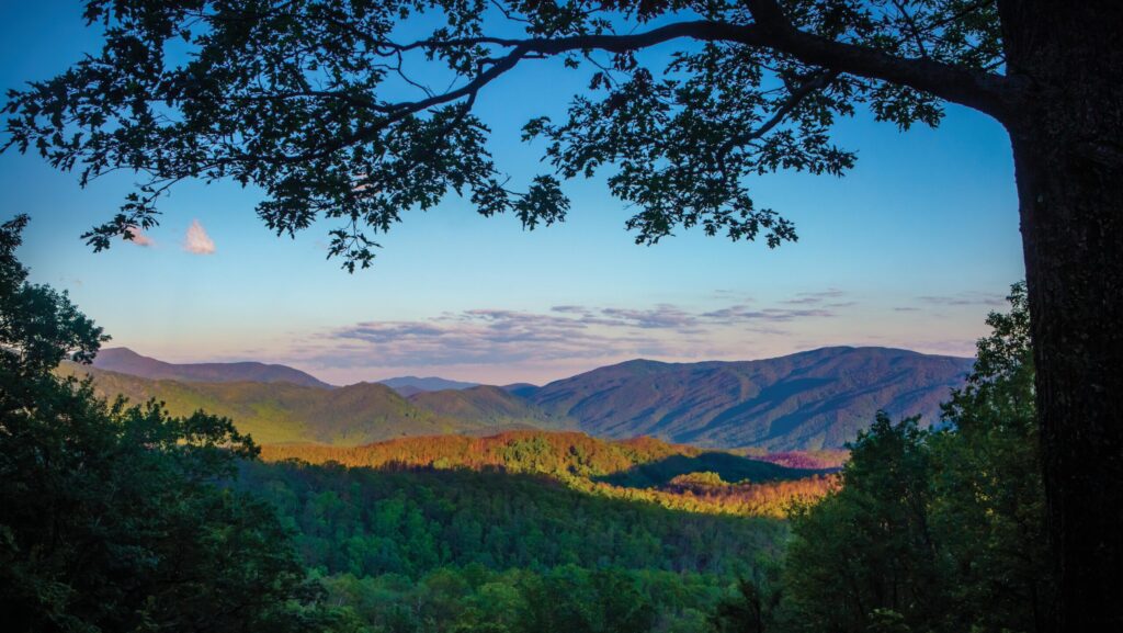 A sun rise along Roaring Fork Motor Nature Trail in the Great Smoky Mountains National Park near Gatlinburg, Tennessee.