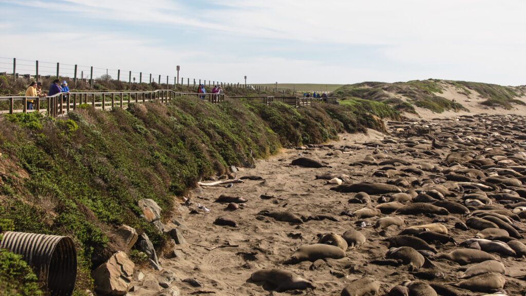 Perjalanan di jalan raya 1