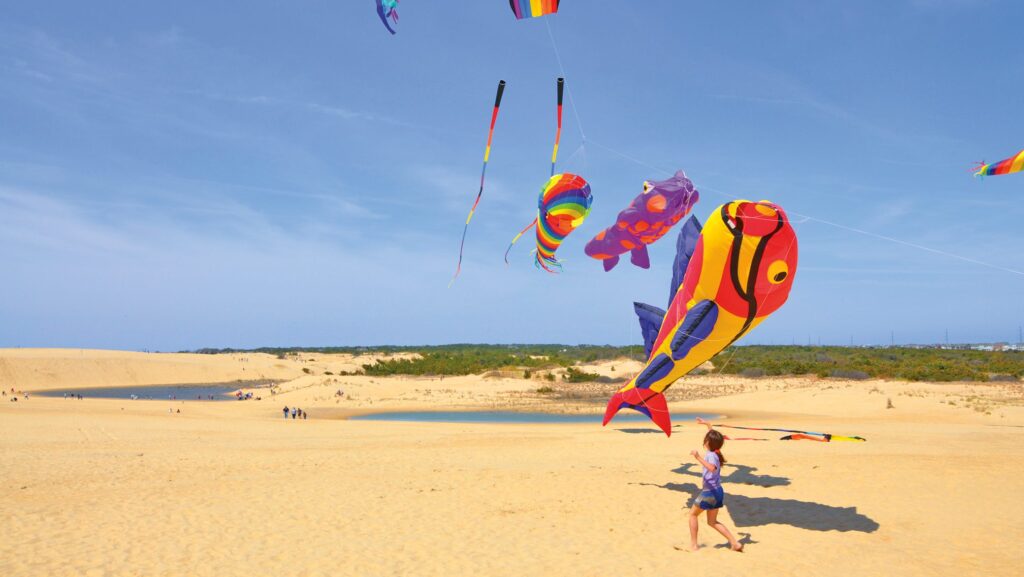A little girl and kites flying at Jockeys Ridge State park in the Outer Banks
