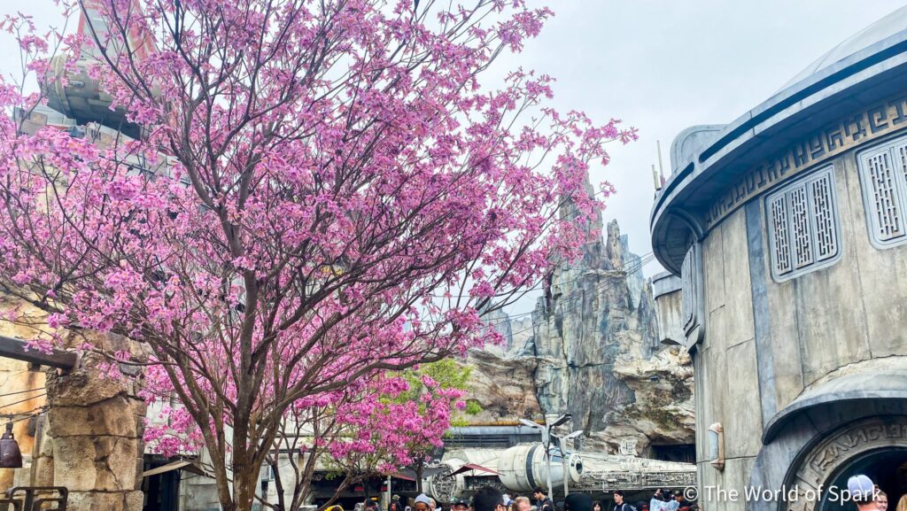 Star Wars: Galaxy's Edge at Disneyland