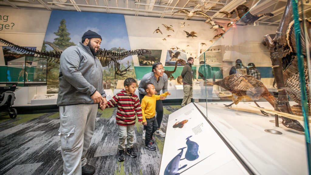 A family looking at an exhibit at the Cleveland Museum of Natural History