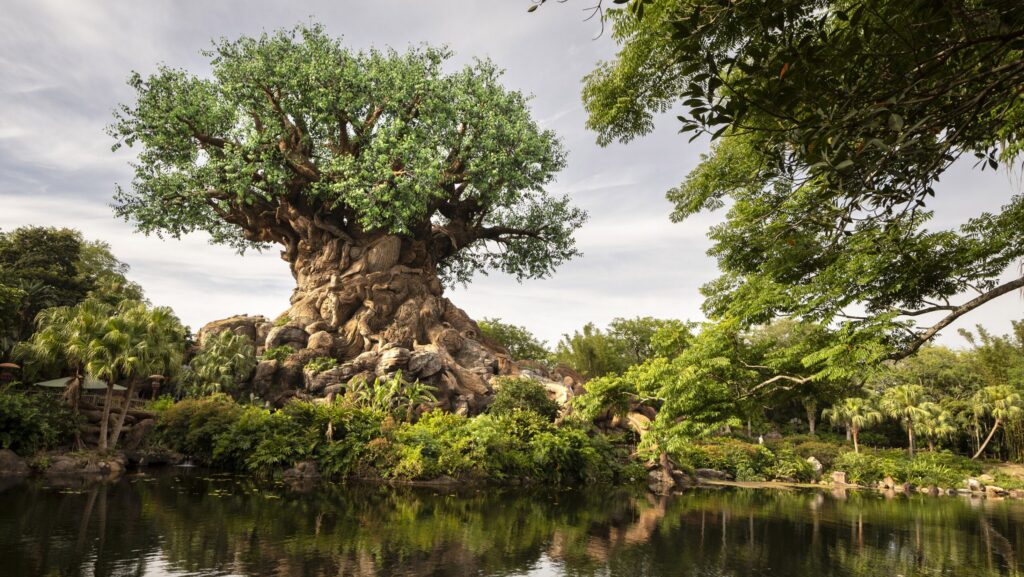 The Tree of Life at Disney's Animal Kingdom