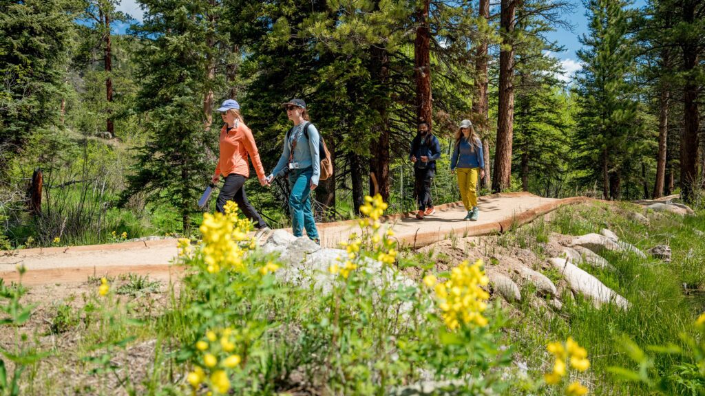 Empat orang mendaki di jalan setapak di hutan dengan bunga-bunga bermekaran di Estes Park, Colorado