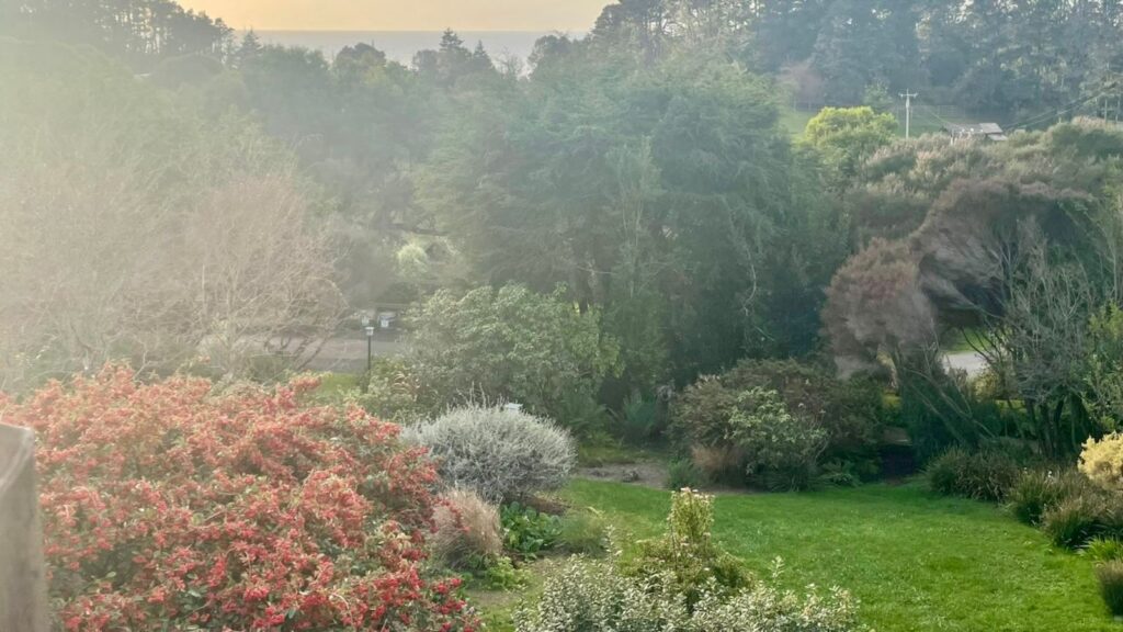 Stanford Inn Mendocino park in the morning