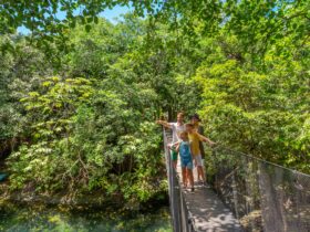 A family on a rope bridge at Sandos Caracol Nature Resort