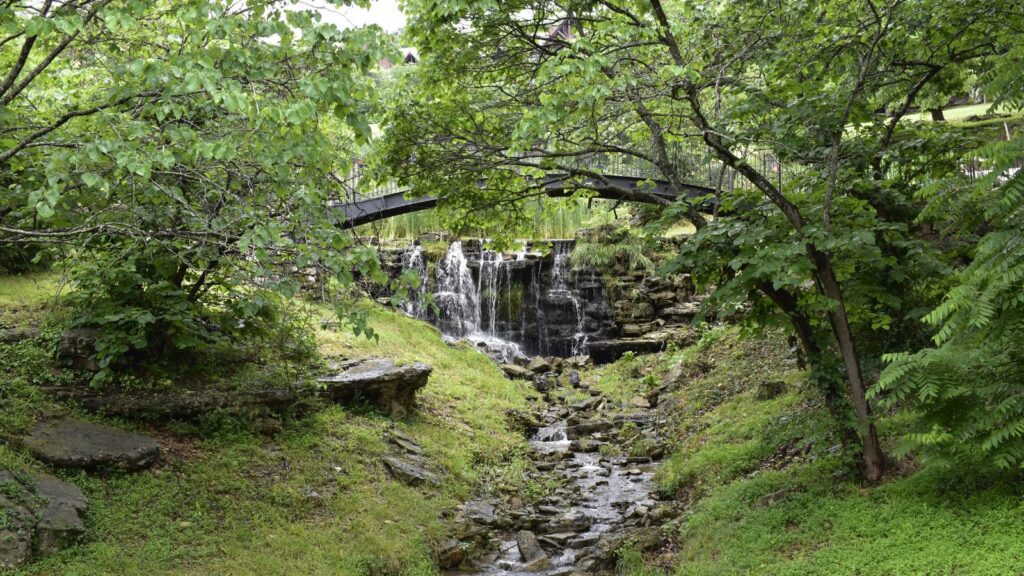 waterfall and nature at Big Cedar Lodge